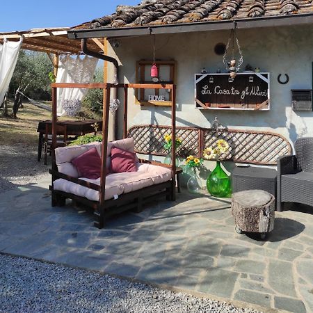 哥尔顿La Casa Tra Gli Ulivi住宿加早餐旅馆 外观 照片